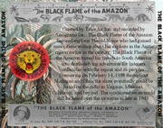 Black Flame of the Amazon set artwork