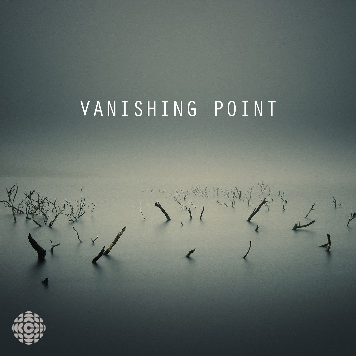 Vanishing Point